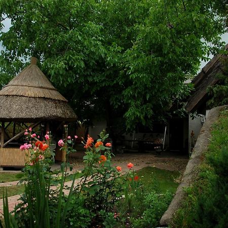 Natura Vendeghaz Pazmand Екстер'єр фото